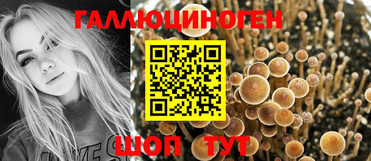 Псилоцибиновые грибы Magic Shrooms  Вход с VPN  Оренбург 