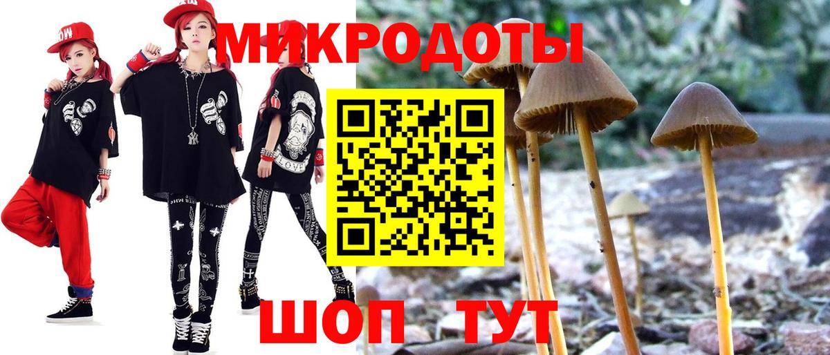 Галлюциногенные грибы Psilocybe Оренбург